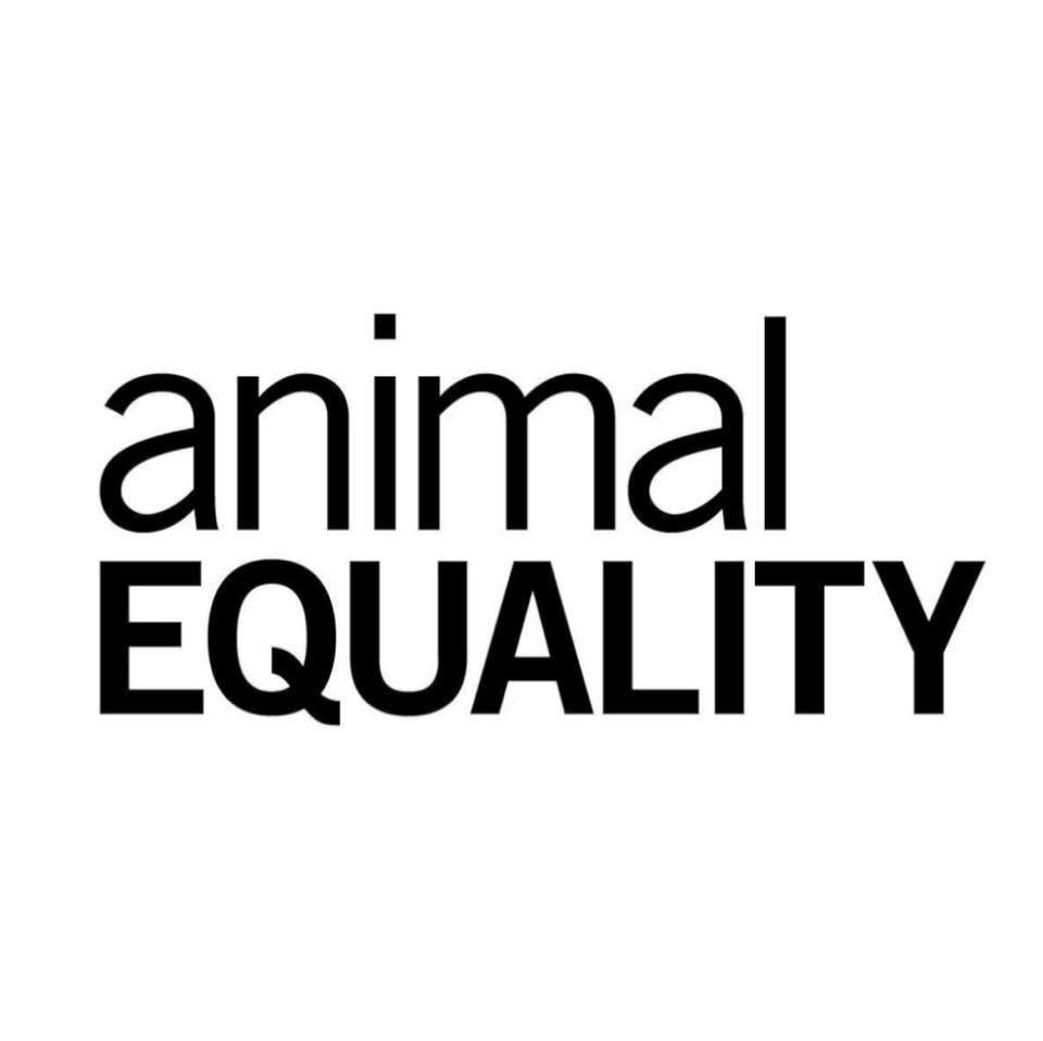Animal Equality 