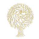 Skinmatics Dermatology LLP