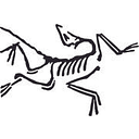 Arc'teryx