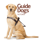 Guide Dogs Victoria